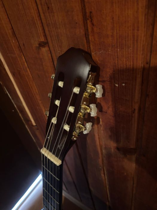 Китара”Singer” 100 evro