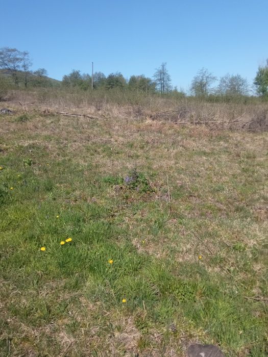 15000 euro 25 ari extravilan