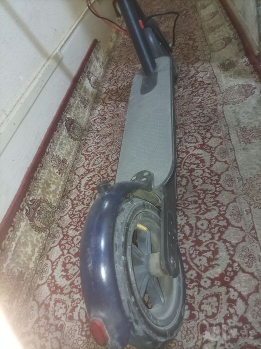 Elektroni samakat