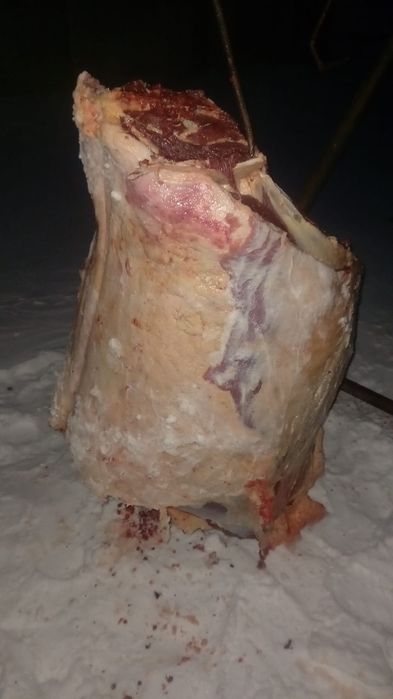 Семіз жылқының еті