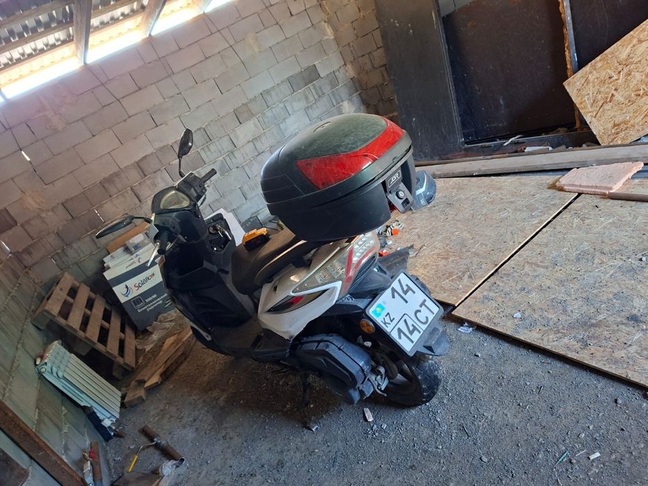 Скутер Hammer tiger