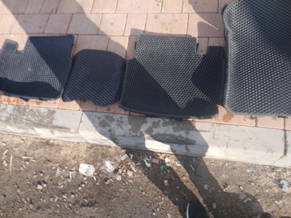 Ева полики приора..