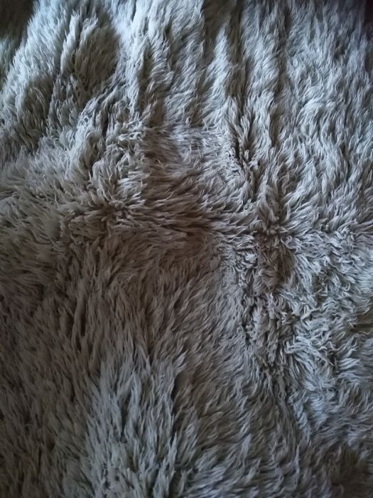 Нови губери,китеници