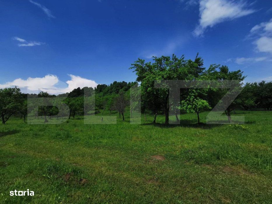 Teren, aproximativ 1 ha, in apropiere de Bistrita