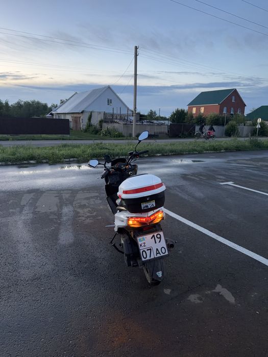Мопед MAXI 180c