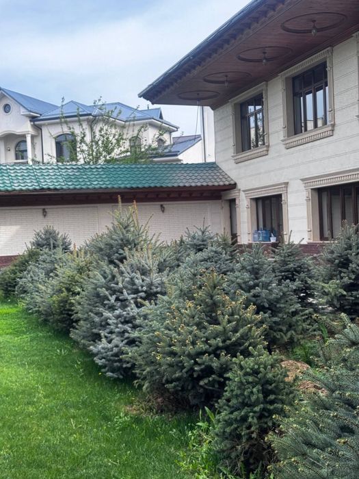 Archalar harhil razmerda