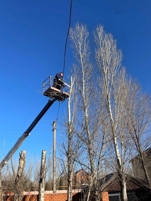 Спил  обрезка деревьев в Актобе