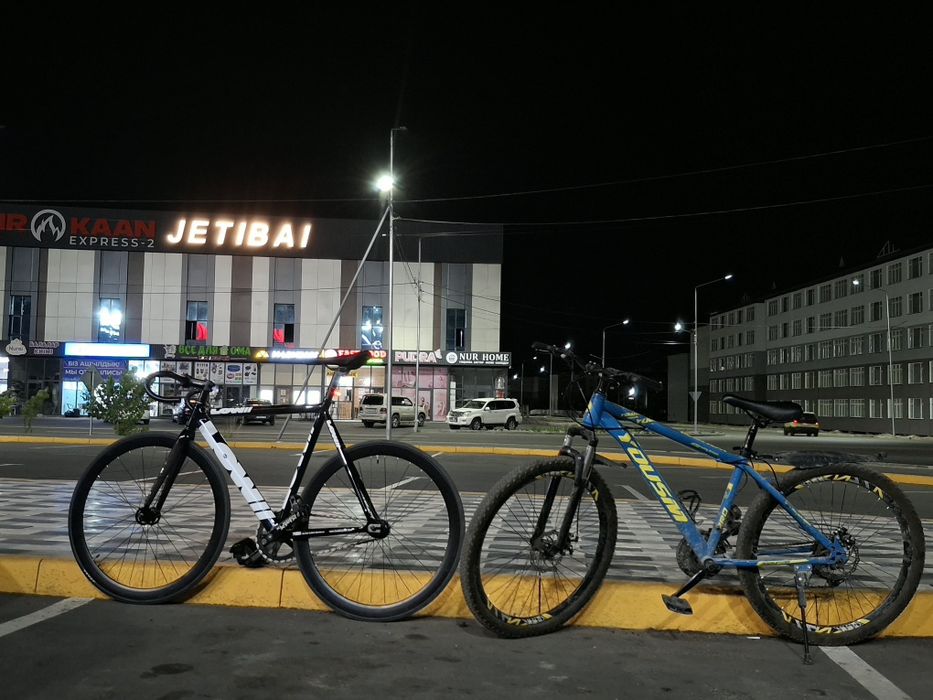 Low ll | black and white | fixed gear