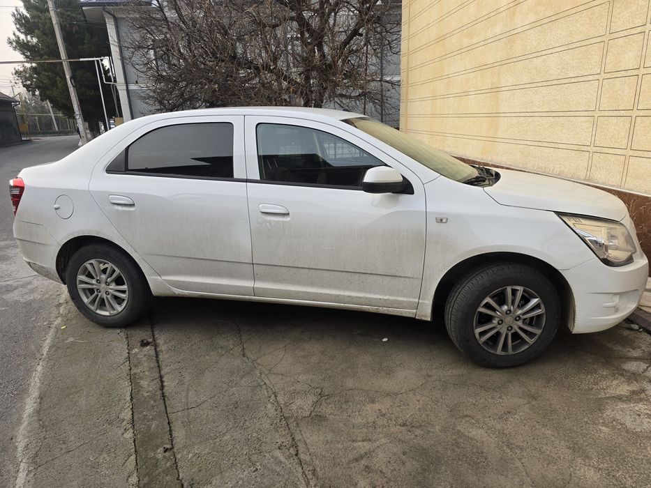 Srochniga juda arzon narhda masla moshina salon