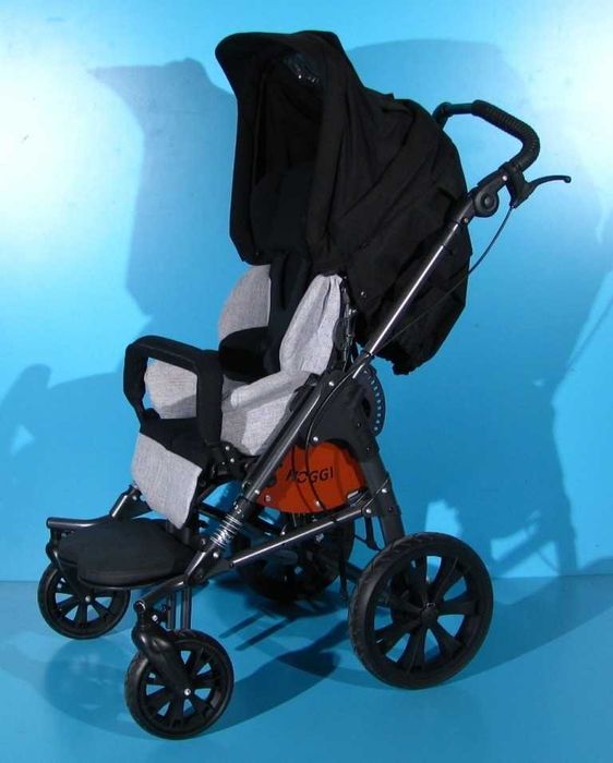 Carucior pentru copii cu dizabilitati Hoggi Bingo Evolution