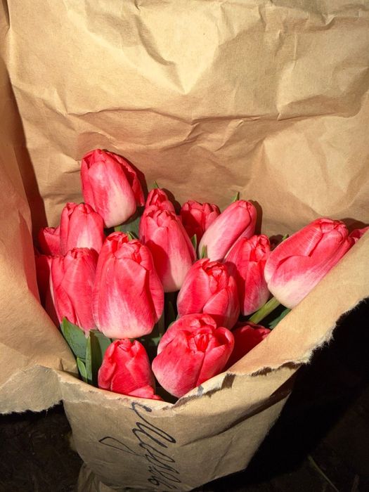 Тюльпаны свежие большие с доставкой