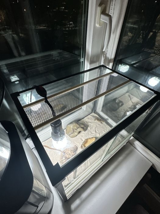 Террариум для геккона