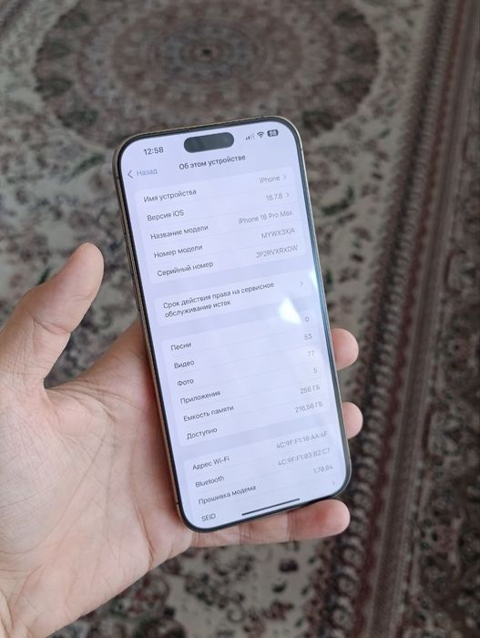 iPhone 16 pro max