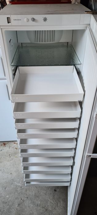 Професионален Хладилен охладител Liebherr FKv 4110 180см