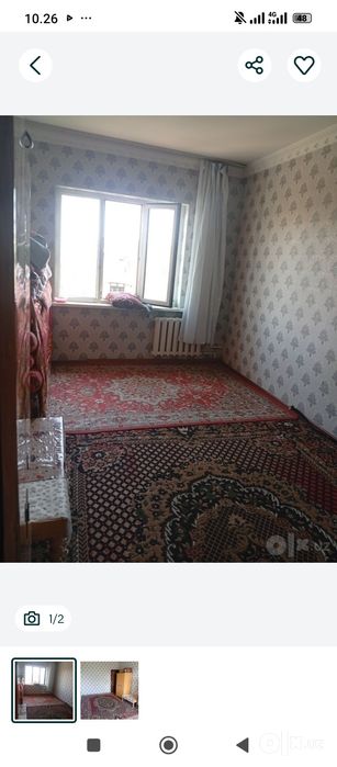 Algaritimda qizlar uchun ijara