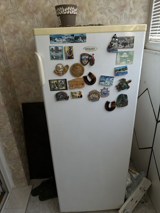 Фризер Exquisit с 5 рафта