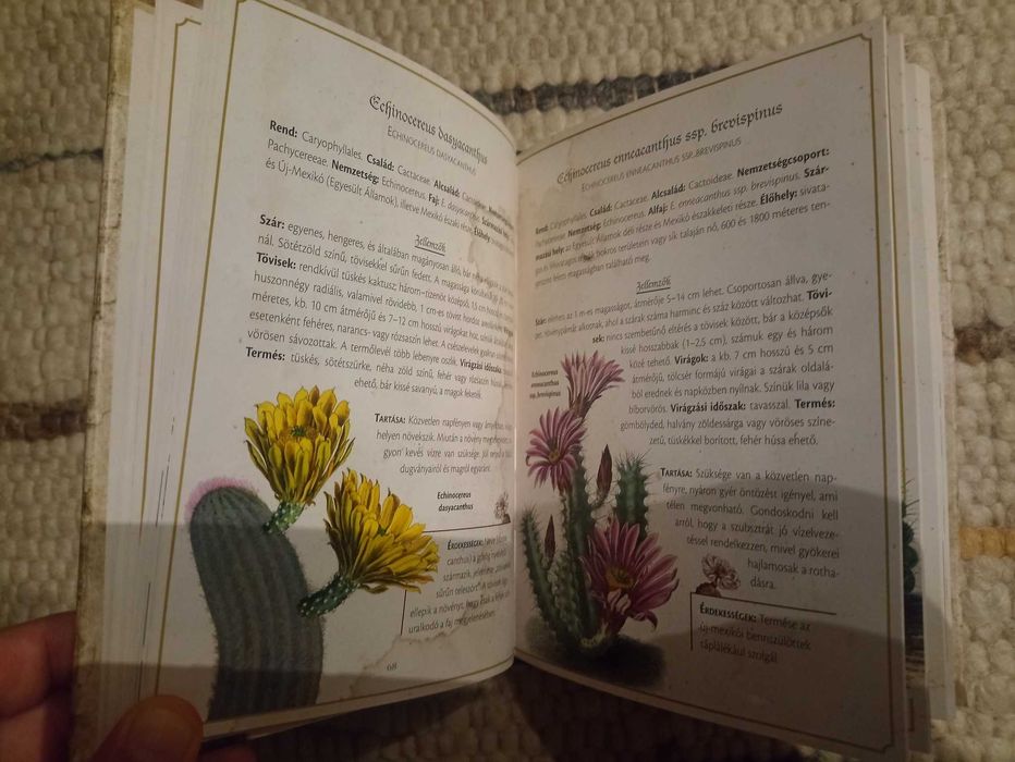 Nuria Penalva: Kaktuszok [carte in limba maghiara]