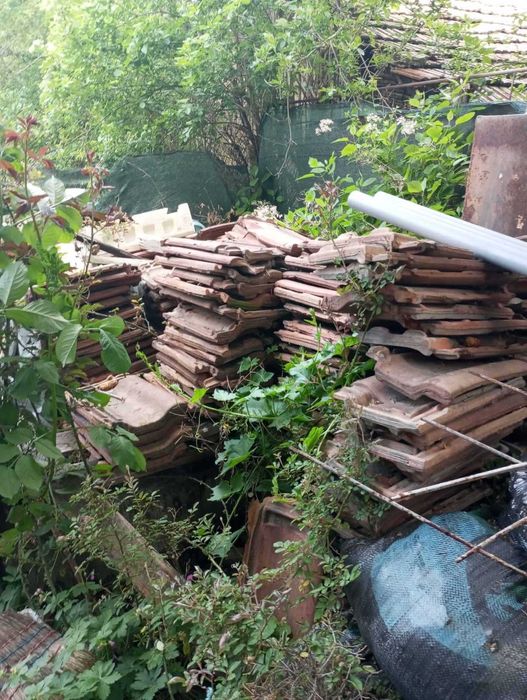 Кърти чисти извозва