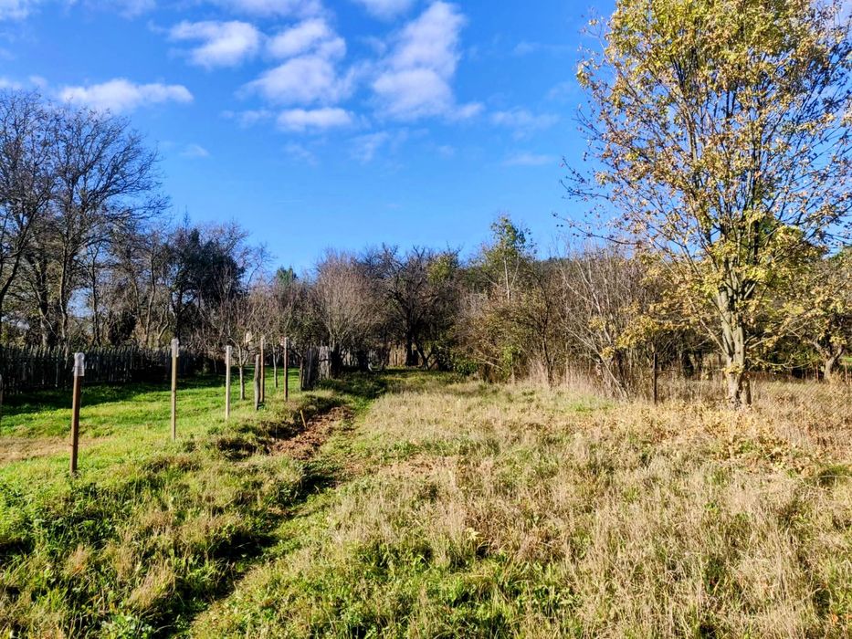 Casa de vanzare in Baisoara cu teren intravilan de 1750 mp