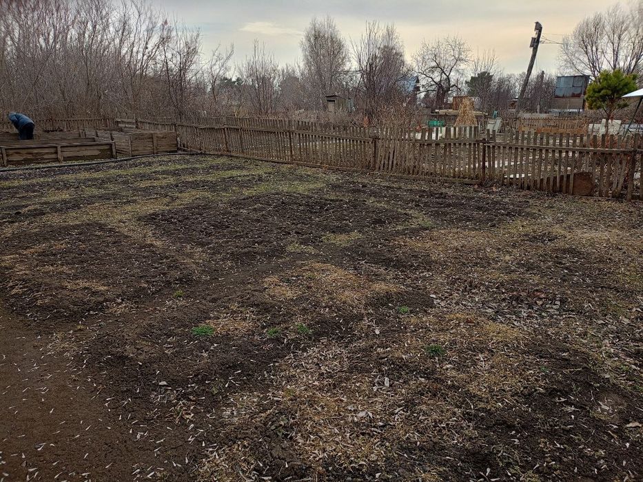 Дача на берегу Ишима