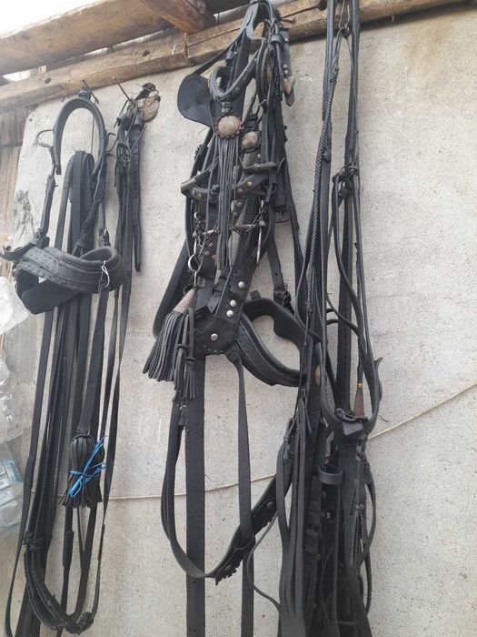 De vanzare ham complet,haturi si capitala constanta