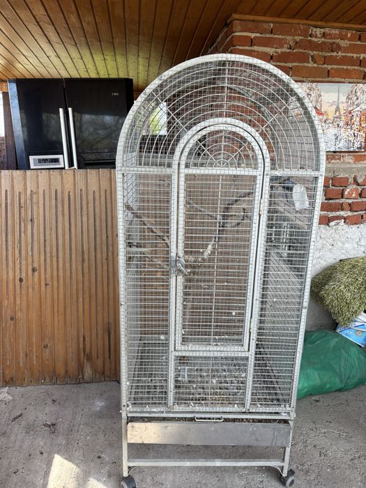 Vind colivie papagali