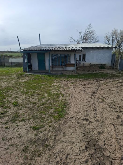 Действующее К/Х 1200гектар