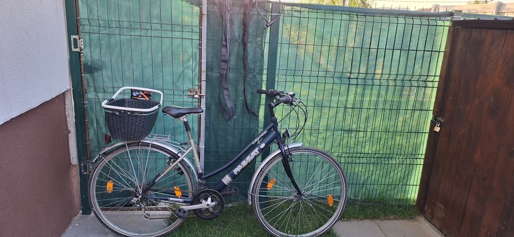 Bicicleta Passat Havanna
