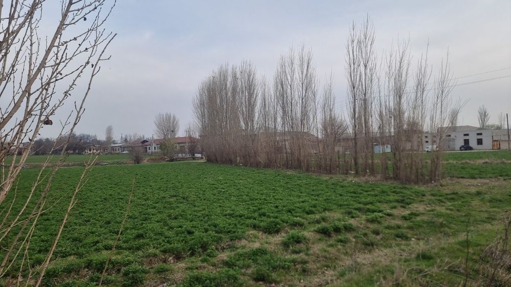 Тераклар срочно сотилади