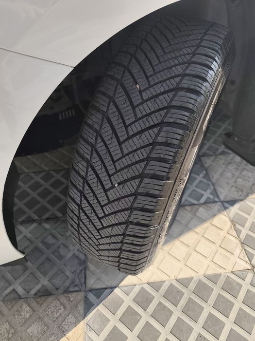 Онекс. Ок. Без. Лук. Йил. 2024