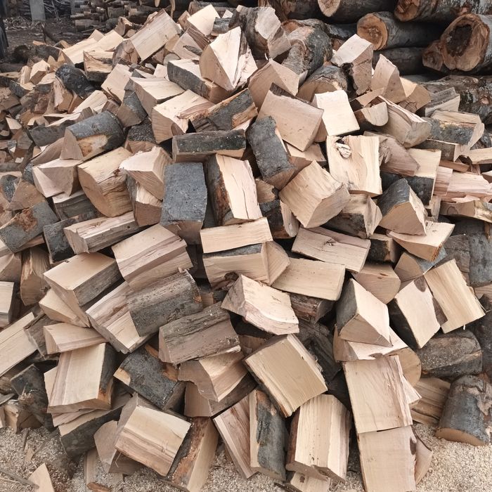 Lemne de foc fag capete uscate sau verzi 600.lei tona