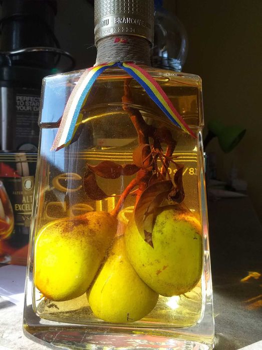 sticle Personalizate ,Suport la Pahare pe Coarne de Cerb,Para,Costume