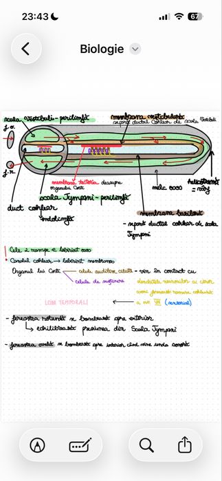 Notițe pentru admiterea la Medicină, chimie biologie barrons