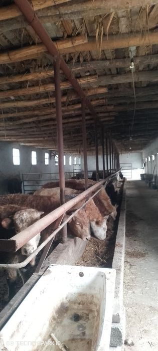 Срочно сотилади. 25 соток Нежилой жой. Толов исталган усулда.