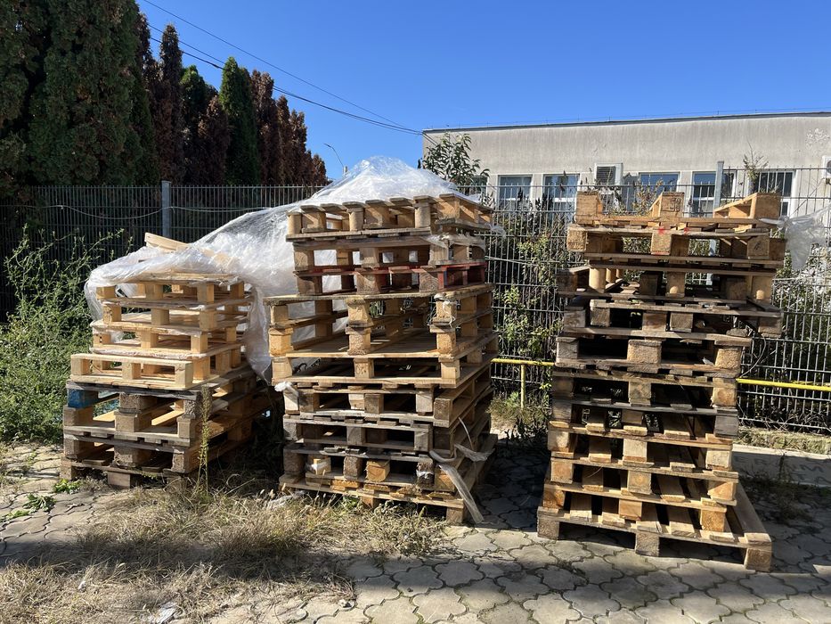 Vand paleti non-euro si europaleti