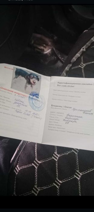 Драдхар сатылады