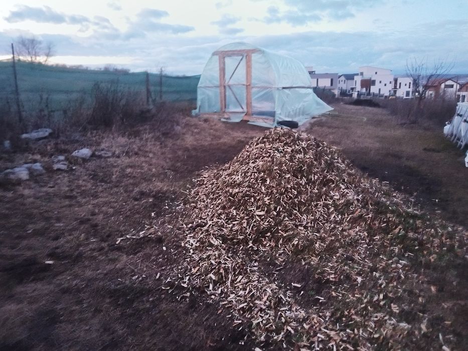 tocatura de crengi, mulci