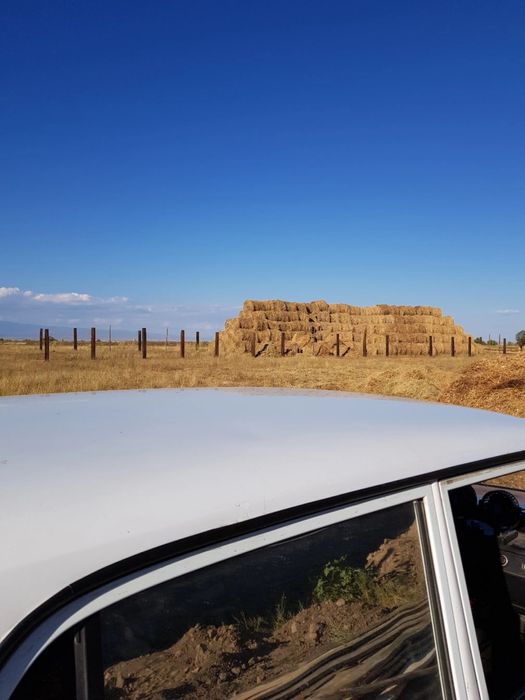 Откорм Мал бордақы