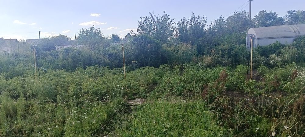 Продам дачу СО Элеваторщик