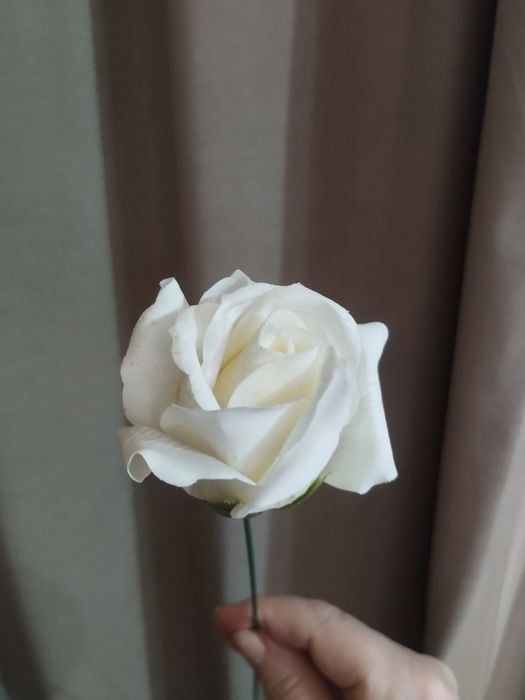 Мыльные розы продаю!