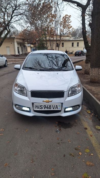 Barcha malumot telda