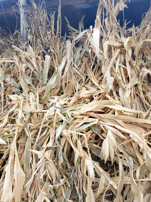 Жүгері пая 400тг