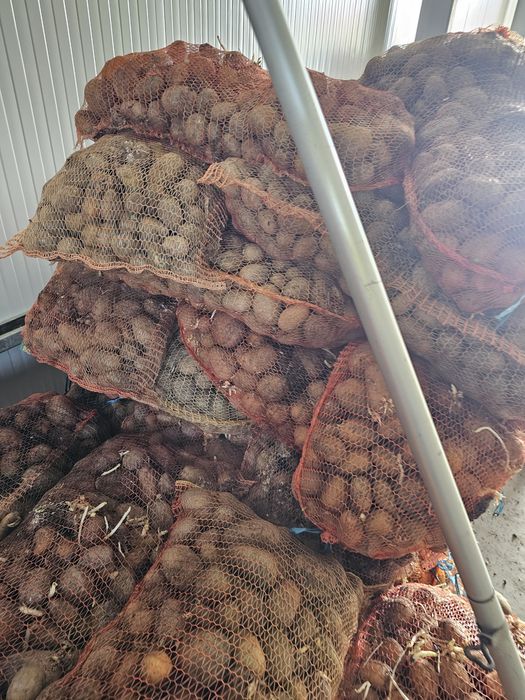 Cartofi animale sa samanta