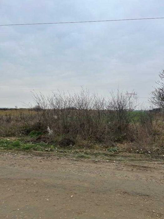 Vindem Teren Intravilan in Osorhei.