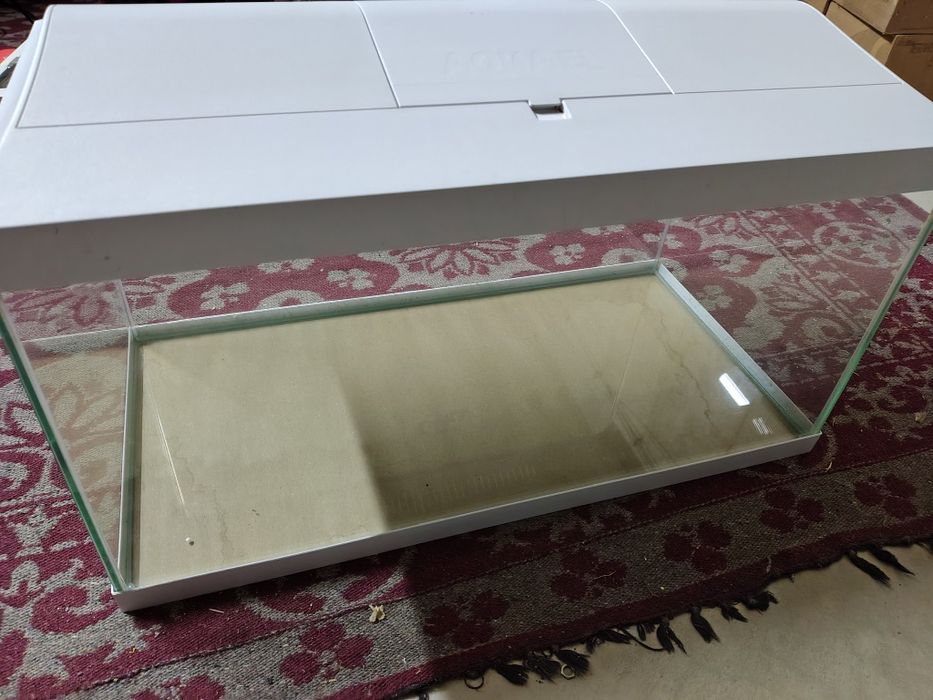 Аквариум за декоративни рибки