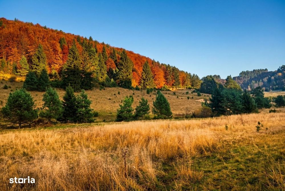 Teren intravilan 1.810 mp – Brebina, Zărnești pretabil investiție