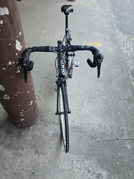 Cursiera Giant Carbon