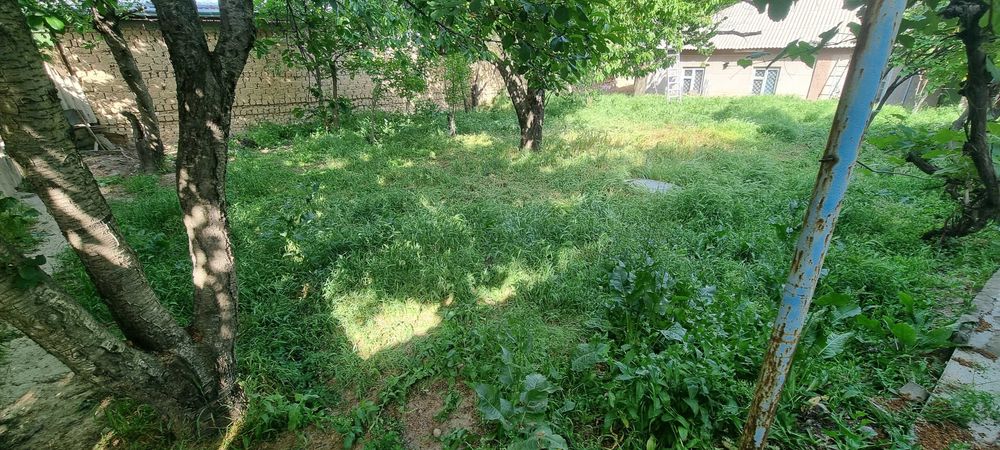 Продается Дом в Чирчике.