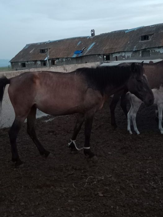Продается срочно