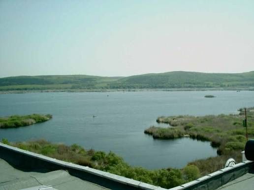 Продава се Къща в с. Сребърна, Област Силистра - 90 кв.м за 198 €/кв.м - Снимка #8